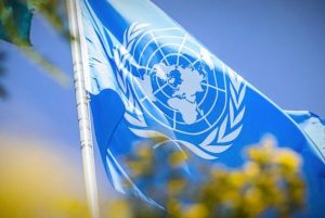 Comité de la ONU recibe recomendaciones para mejorar la libertad de expresión en Chile
