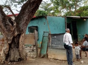 Árbol al borde del colapso pone en riesgo a vecinos del sector 19 de Marzo en Apure
