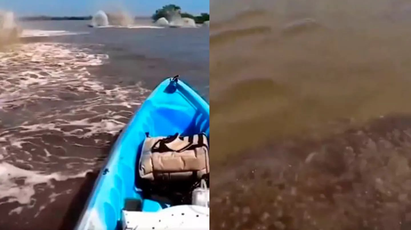 Terror en el Amazonas: un hombre filmó a una extraña criatura en el río y se hizo viral (VIDEO)