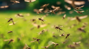 Las cinco razones científicas de por qué los mosquitos pican más a unas personas que a otras