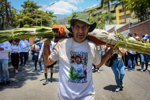 En FOTOS: palmeros de Chacao revivieron su tradición en otra jornada multitudinaria llena de fe