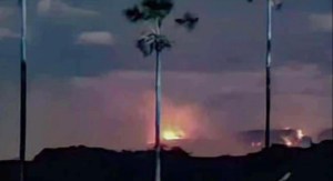 Detectan más de 20 incendios forestales en Canaima en lo que va de marzo