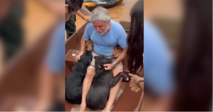 Así fue el emotivo reencuentro de un hombre y sus perros rescatados tras las inundaciones en Brasil