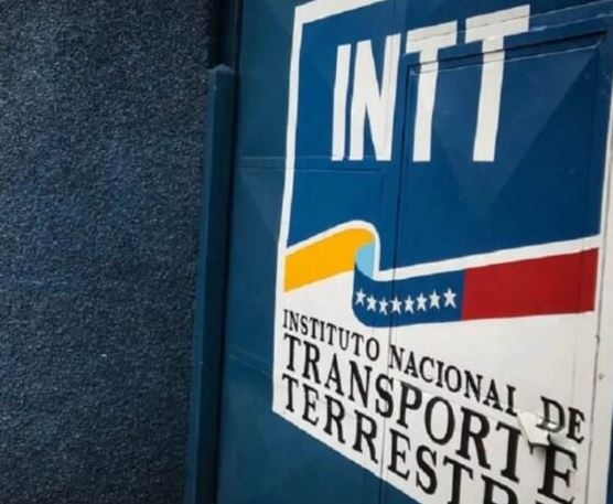 Toma nota: así deben ser las fotos para renovar la licencia ante el Intt