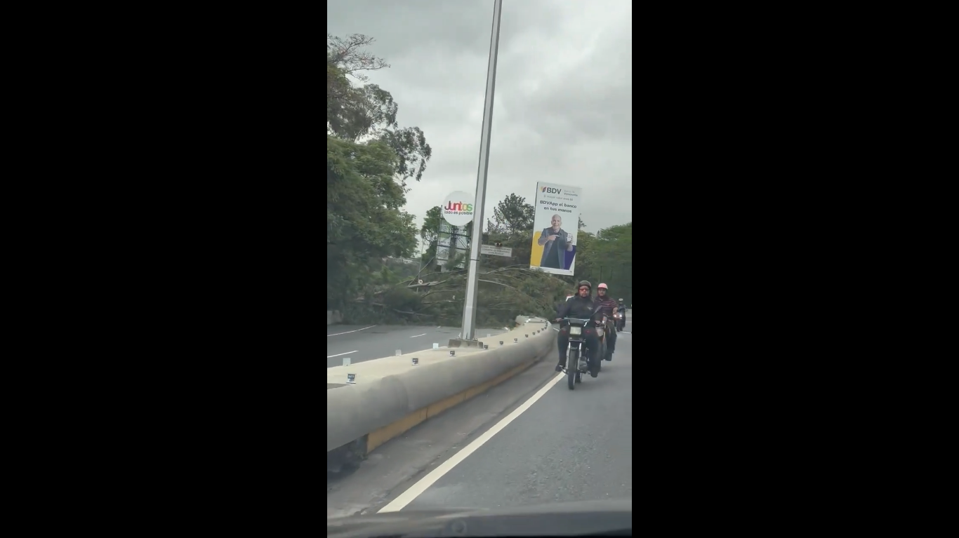 Árbol caído en la autopista Prados del Este genera caos este #15Jun