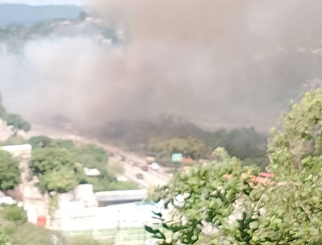 Colegio de Ingenieros de Lara exhorta a autoridades a aplicar sanciones a responsables de tala y quema
