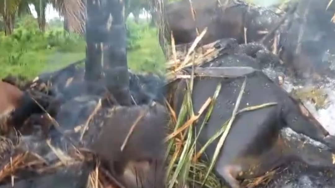 ¡Insólito! Un rayo literalmente carbonizó a seis bovinos en Barinas