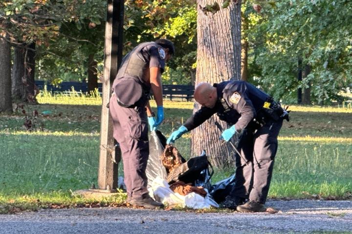 Hallan a hombre colgado de un árbol en parque de Nueva York tras enviar inquietante mensaje